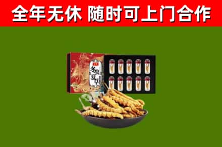 泗水回收冬虫夏草价格
