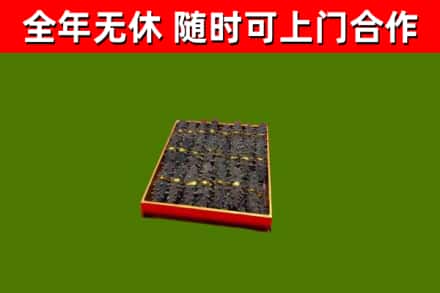 泗水回收海参